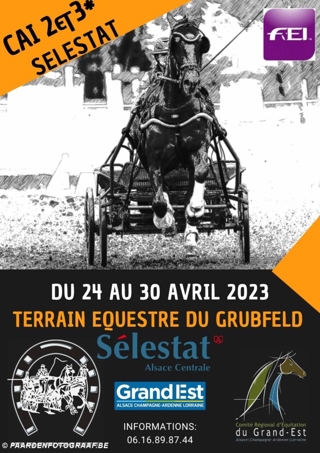 Dossier Sélestat (FRA) - 24/04 - 30/04/2023