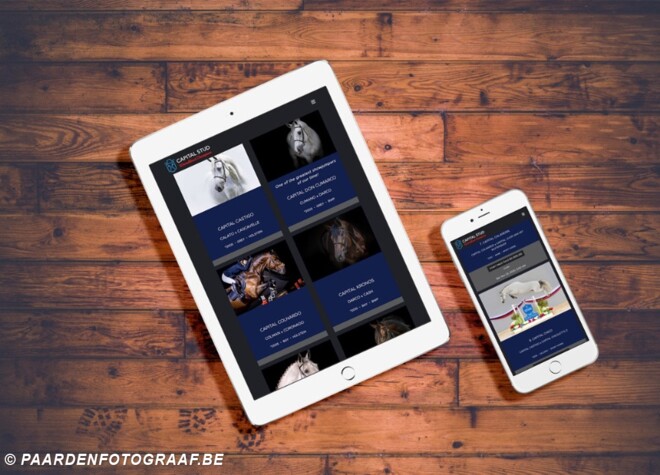 Nieuwe website voor Capital Stud!