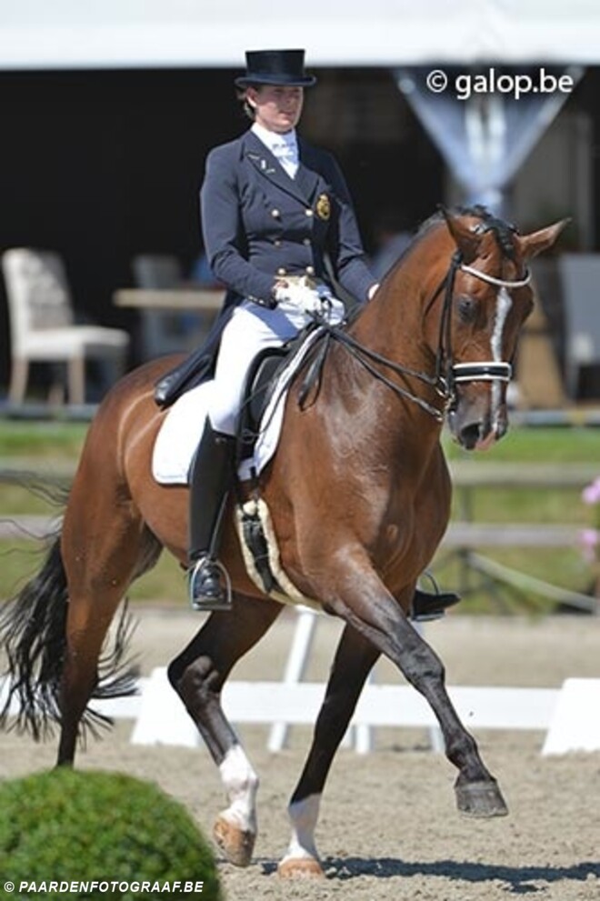 Young Riders 5de op EK dressuur jeugd