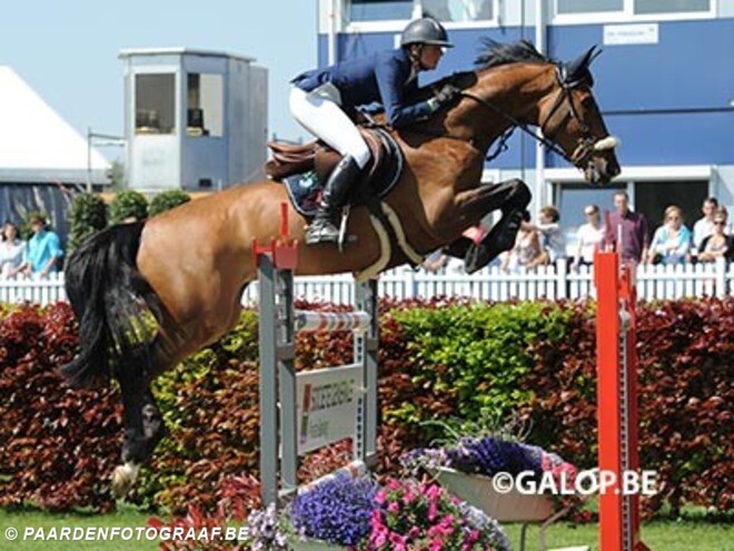Van der Straten 2de, paard van Lansink wint