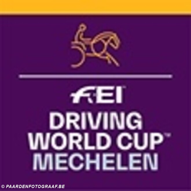 Glenn Geerts en Dries Degrieck krijgen een wildcard voor Mechelen