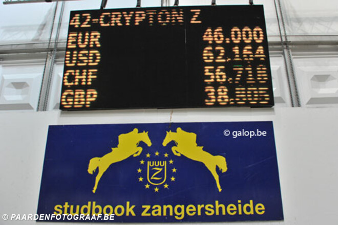 Crypton Z veilingtopper Zangersheide Auction