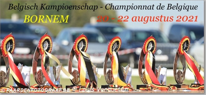 BK Bornem - deelnemers bekend