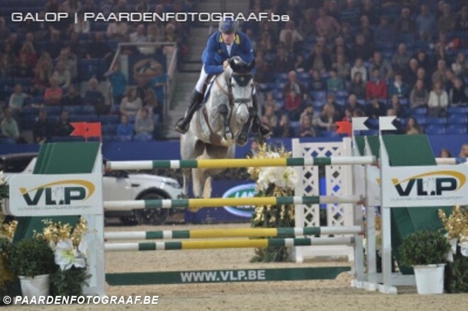 Euro Horse koopt Caruso van Ahlmann