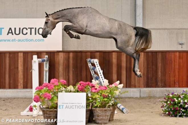 ET-Auction: laatste zomer editie van start!