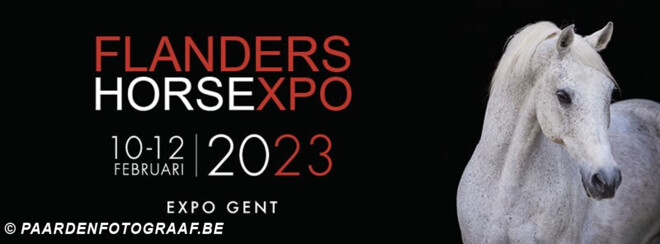 Mennen@Flanders Horse Expo 2023