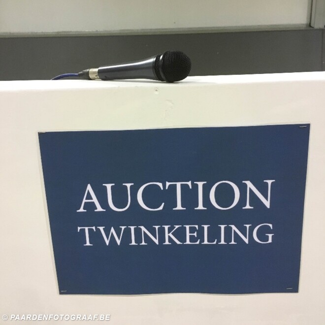 Aftellen naar vanavond: Auction Twinkeling m