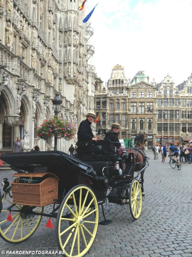 Brussel per koets
