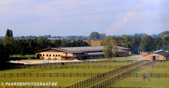 Krismar Stables is op zoek naar....