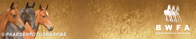 Collectie BWFA 2015 is online