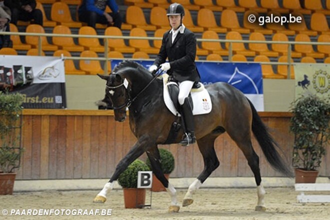 Definitieve selectie WK jonge dressuur...
