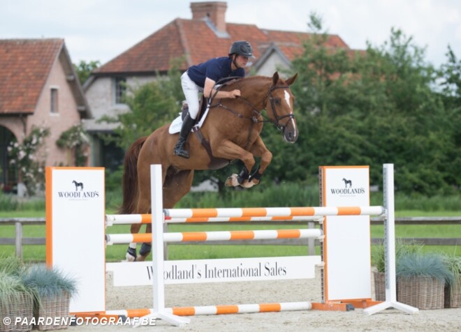 Kyrelle vh Krekelhof veilingtopper Woodlands