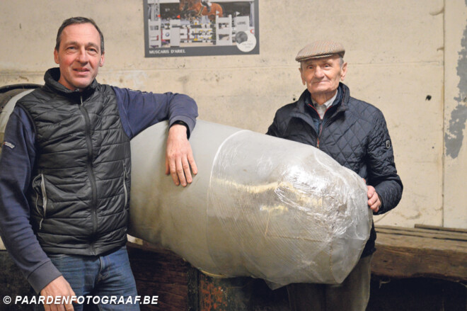 Joris & Marcel Van Dijck over hengsten en kampioenenhengsten