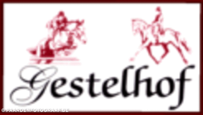 Gestelhof is op zoek naar springruiter (M/V)