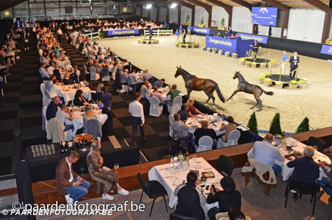 Z-auction nieuw record gemiddeld 34.344 euro