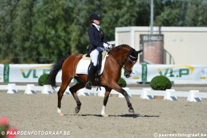 Ook EK-dressuurselectie pony's bekendgemaakt