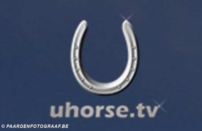 CHIO Rotterdam Live volgen via internet