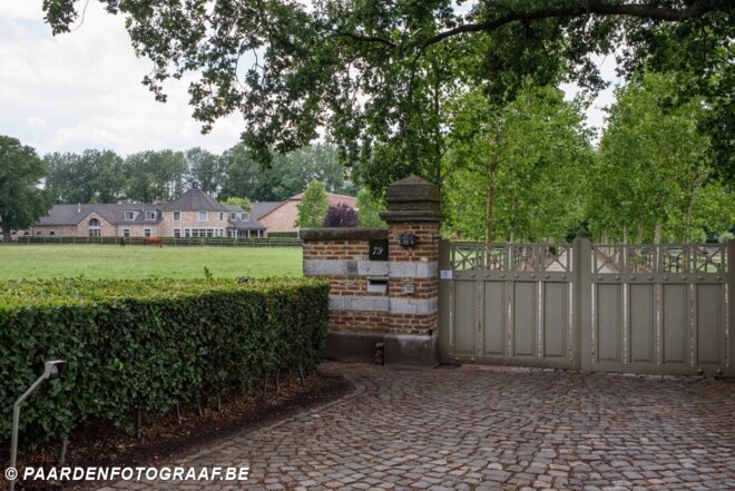 Immofluisteraar verkoopt exclusief domein