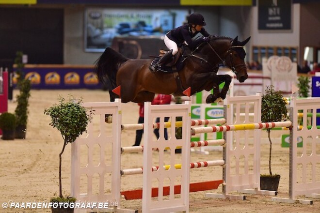 Nieuw record voor Foal Auction 111!