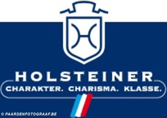 Holstein komt in België veulens registreren.