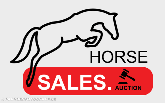 Finale dag voor de HorseSales.Auction