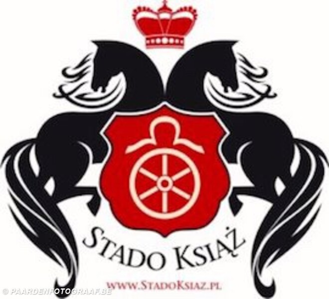 Dossier CAI Ksiaz (POL) - 30/06 - 04/07/2021