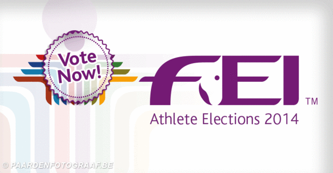 FEI verkiezingen technische commissies