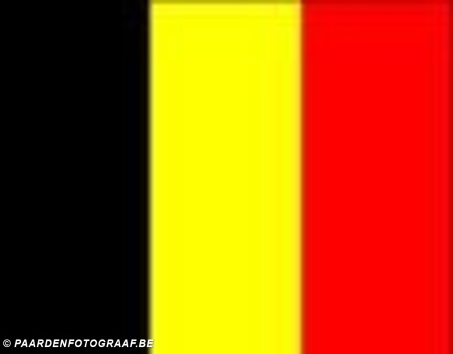 Beker van België - voorlopige rangschikking