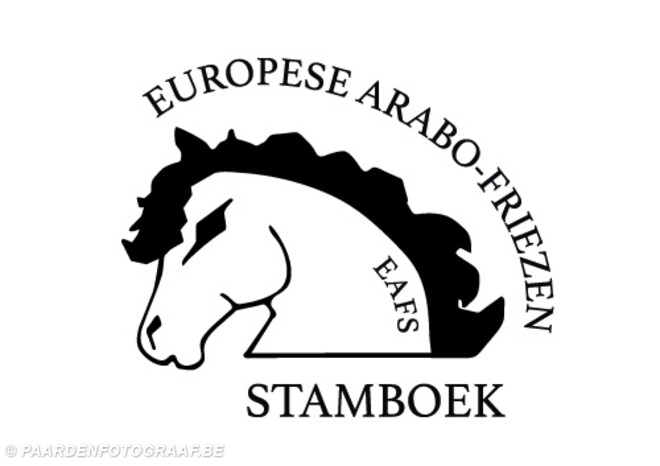 Arabo-Friese stamboekkeuring afgelast