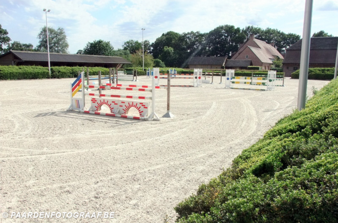 Rostal op zoek naar ruiter
