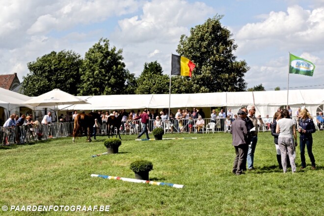 BWP prijskamp Evergem: een gezellig...