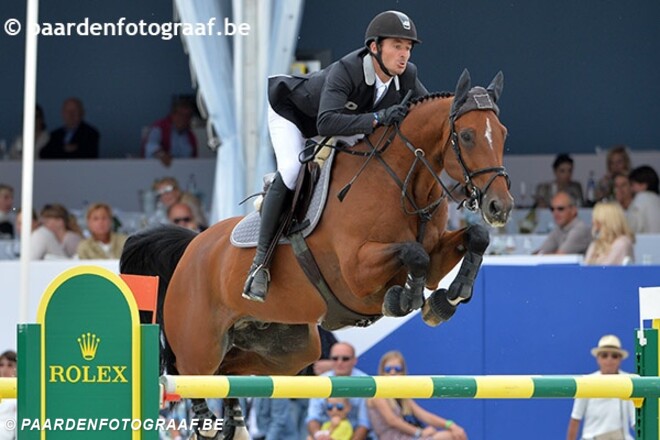 Volle broer van Nino op veiling Fences