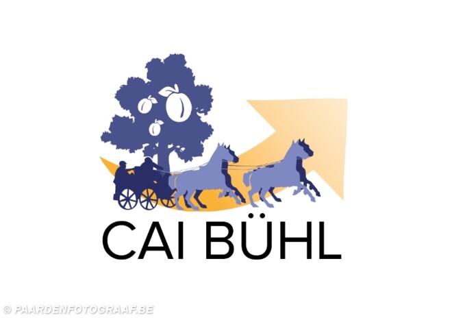 Tien Belgen aan de start van CAI Bühl