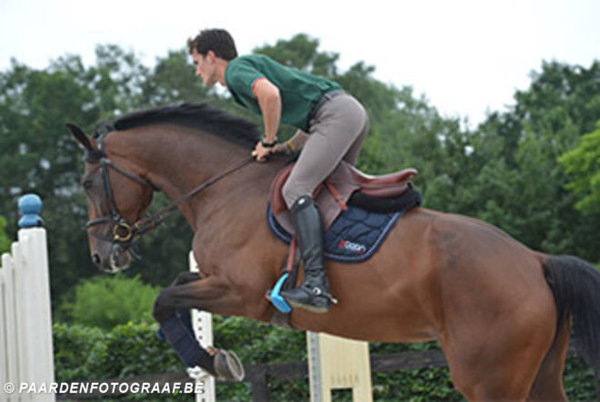 Na FEI, ook definitieve goedkeuring KBRSF van de Equi Smart Control op springwedstrijden.