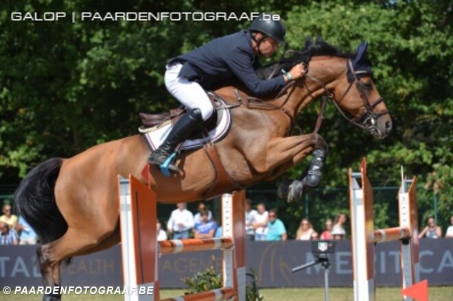Belgische jonge paarden winnen kampioenschap