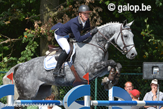 Flanders Horse Event: gedeelde winst in Euphony Six Bars
