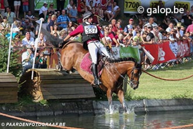 Alle foto"s van eventing Nokere zijn online