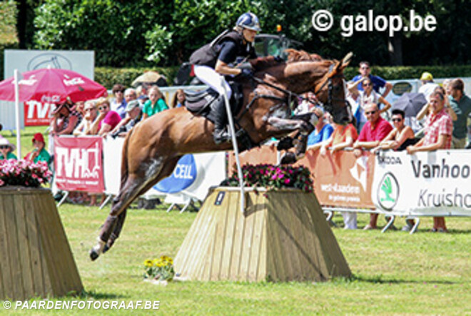 Kampioenschap jonge zes- en zevenjarige eventingpaarden