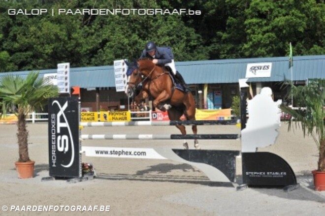 Goud in Gesves: Thonon, Laheyne en De Grande