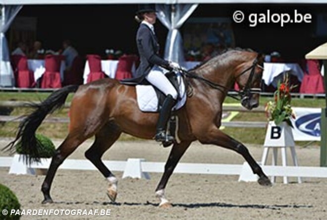 BK goud voor Jorinde Verwimp