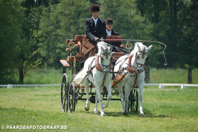 Startlijst - training Aywaille - 20/06