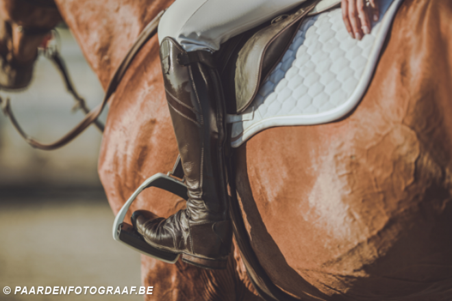 De nationale jumpingkalender is bekend!