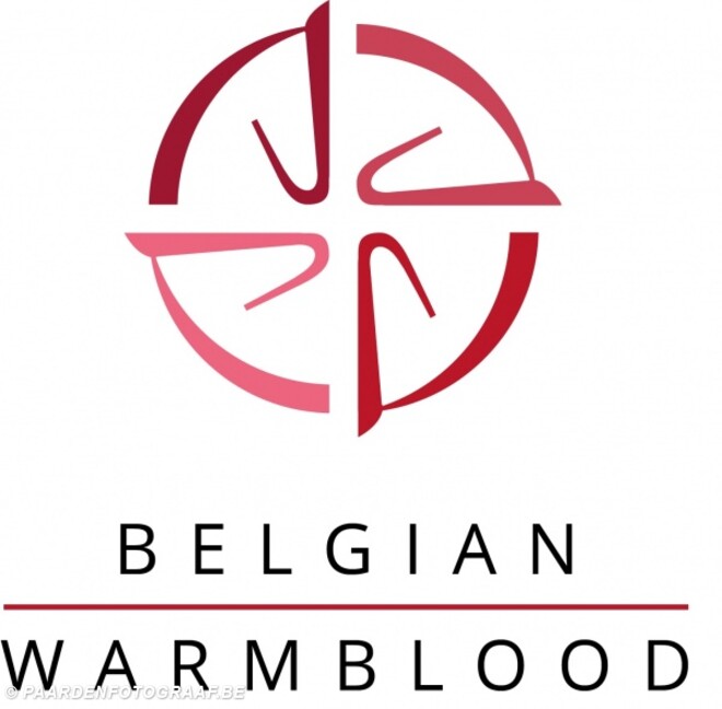 BWP heet voortaan B-W