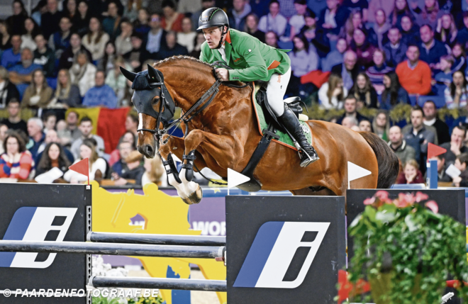 Gert Vermeiren over zijn Olympische hengst Naxcel V, ‘In de fokkerij bestaan veel wijsheden en nog meer toevalligheden’