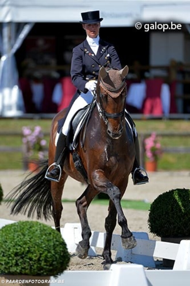 Resultaten Saumur dressuur