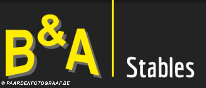 B&A Stables is op zoek naar groom!
