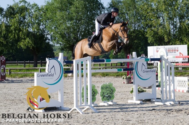 Belgian Horse Trading, eerste biedingen ...