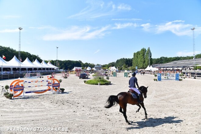 Paardensport Vlaanderen: "We staan klaar!"