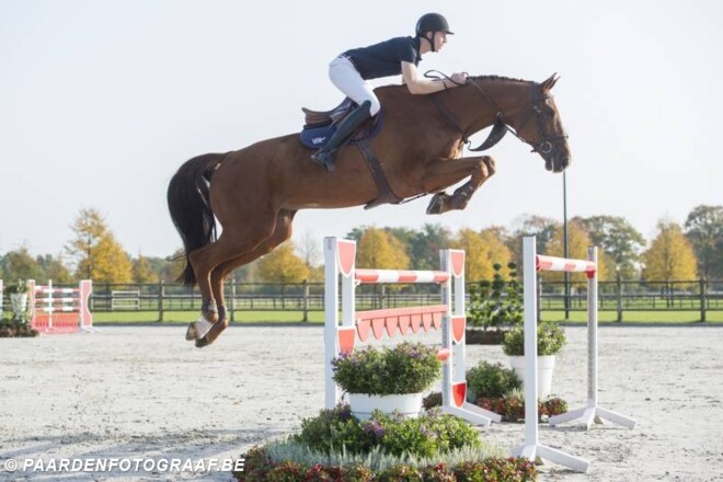 Veilingtopper Duyselshof voor 61.000 euro