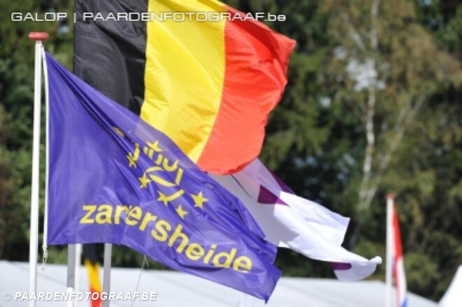 Veilingveulens Z Quality Auction bekend